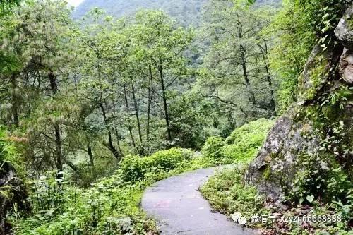解答疑问,尽在抖音加入其他公司公会但是不签合同对账号有啥影响蜗牛问答平台
